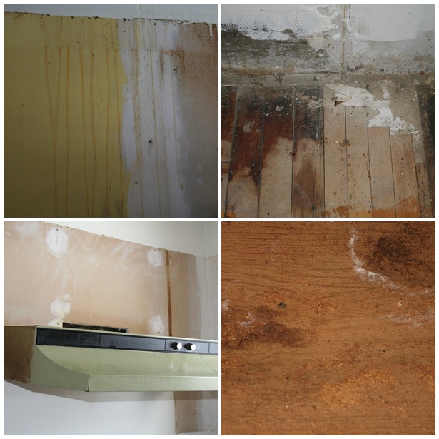 Old Kitchen = Yuck.