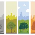 Ryan Kapp, 4 Seasons in Chicago Prints