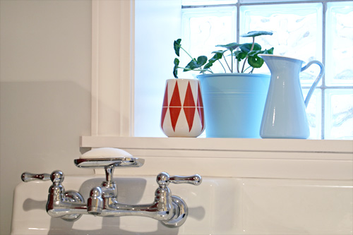 A plant sits in the window above the utility sink.
