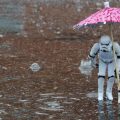 Stormtroopers