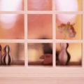 Like a Peeping Tom: A Peek Inside the Dollhouse