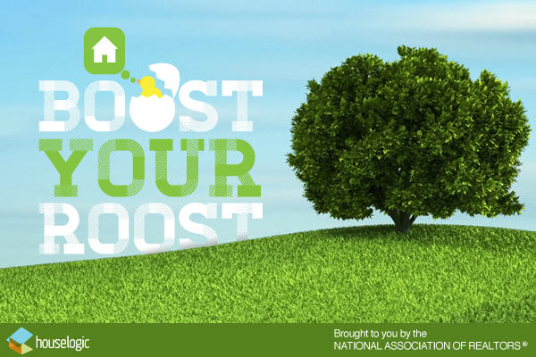 Boost Your Roost