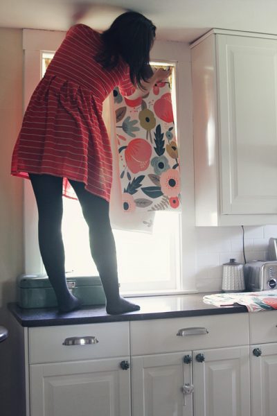 BHLDN Rifle Paper Photo Backdrop