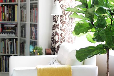 A Fiddle-Leaf Fig Tree in Making it Lovely's Library