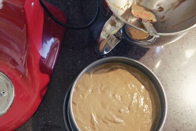Gingerbread Cake Batter