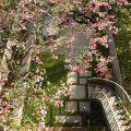 Jenny Lyons' Former Garden