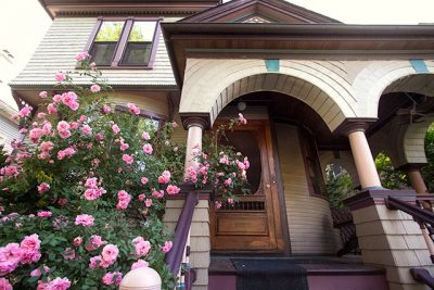 Pink Roses on the Front Porch