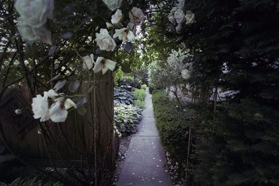 Garden Path