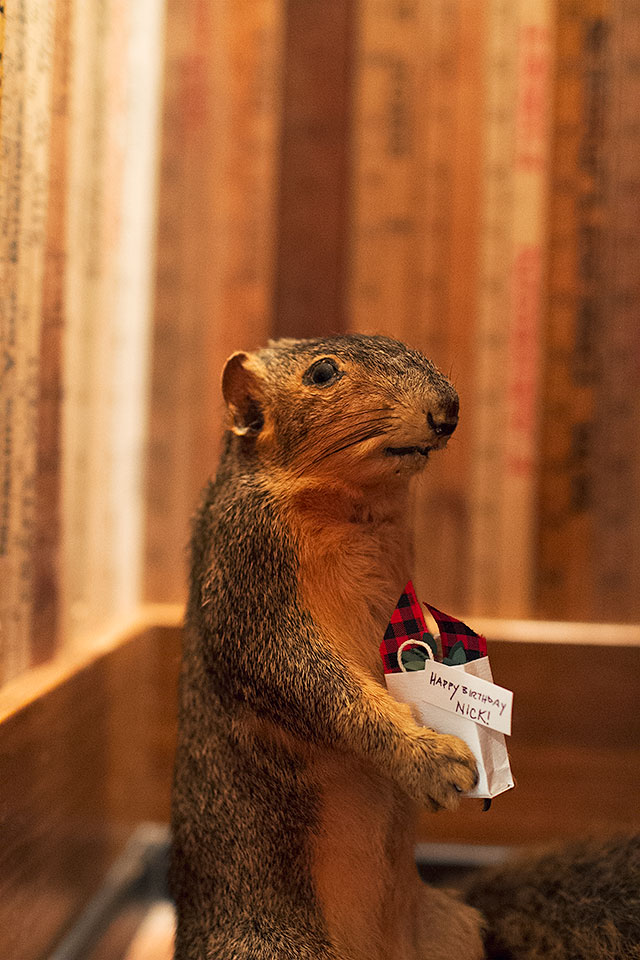 Greetings, from the Friendly Squirrel!
