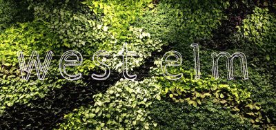 West Elm's Oakbrook Center Living Grow Wall Behind the Cash Wrap