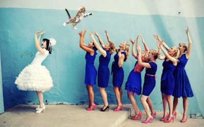 Brides Throwing Cats