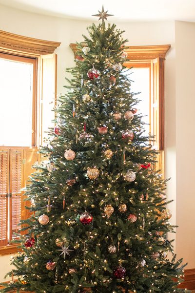 Traditional Green Christmas Tree