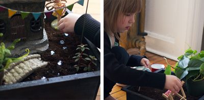 Adding Fairy Garden Decorations