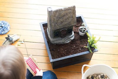 Starting on the Fairy Gardens