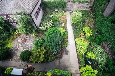 The Garden, When We Moved In
