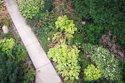 The Garden, Last Year