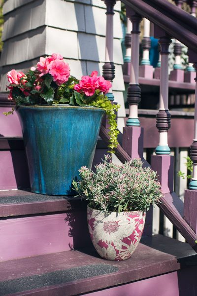 Planters on the Steps