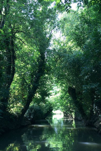 Marais Poitevin, France