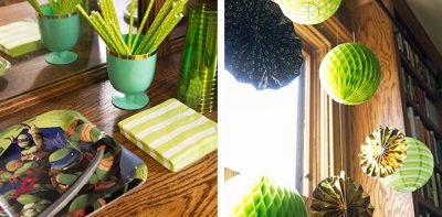 Teenage Mutant Ninja Turtles Party Decorations