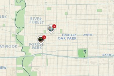 Shopping in Oak Park, IL