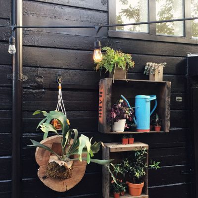Plants by Lila B. Design at Stable Café, San Francisco