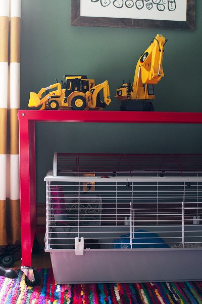 Guinea Pigs Take Up a LOT of Room