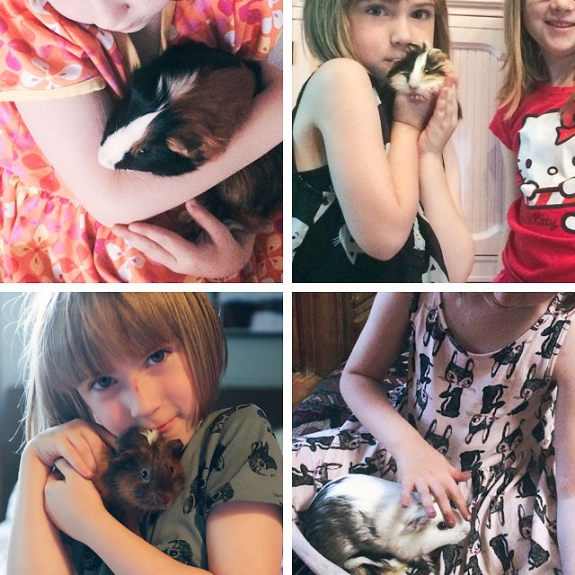 Eleanor with Her Guinea Pigs
