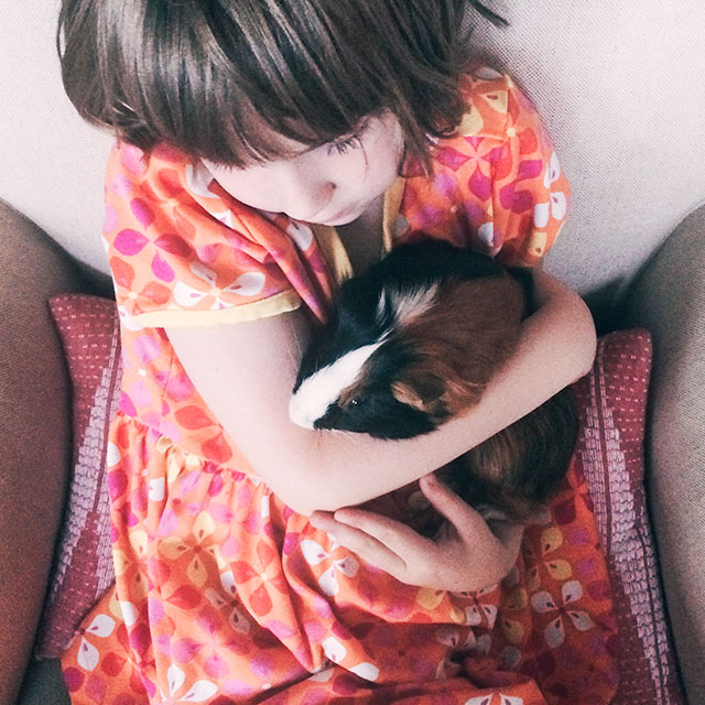 Kids and Small Pets