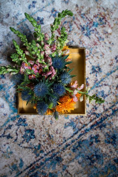 Loloi Rugs - Anastasia