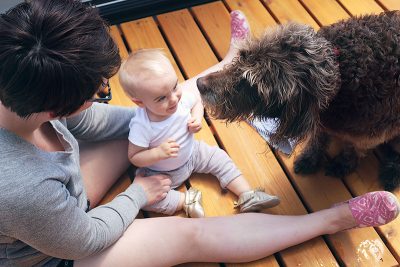 Calvin and Ginger, the Dog