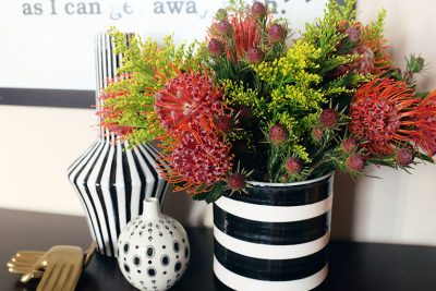 "Porcupine" Pin Cushion Protea from The Bouqs Company