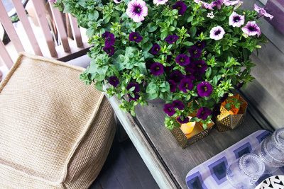 Back Porch Flowers and an Outdoor Pouf