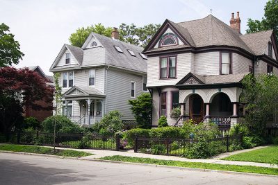 Wee Baby 'New Horizon' Elm Tree