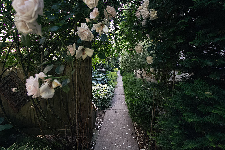 The Garden: A Timeline of Neglect