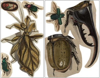 Free Templates for Large-Scale DIY Insect Art | Making it Lovely