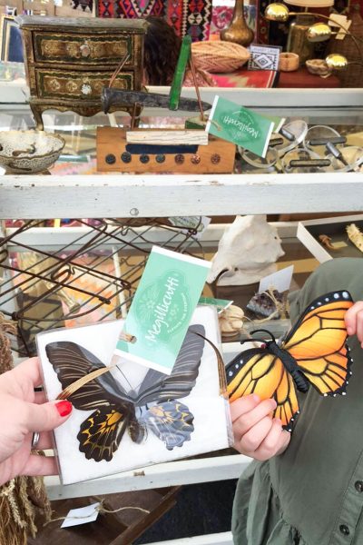 Real Butterfly, Toy Butterfly