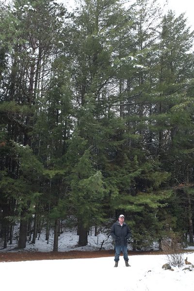 Brandon in the Pines