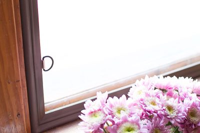 Indow Window Inserts Detail