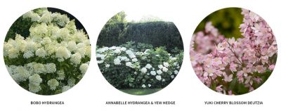 Plants for the Front Garden | Making it Lovely