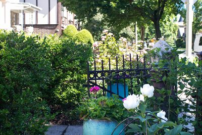Near the Garden Gate