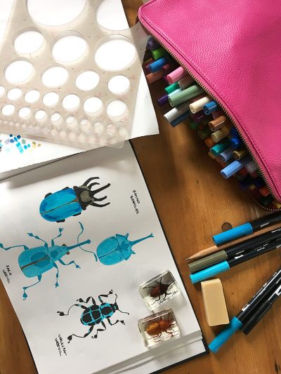 Drawing Inspiration from Insects | Making it Lovely