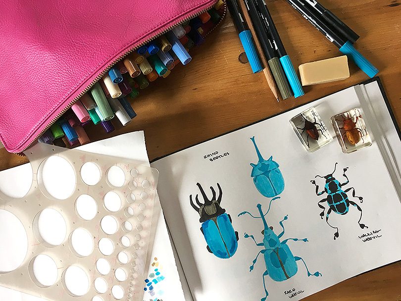 Drawing Inspiration from Insects | Making it Lovely