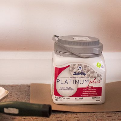 Dutch Boy Platinum Plus Paint