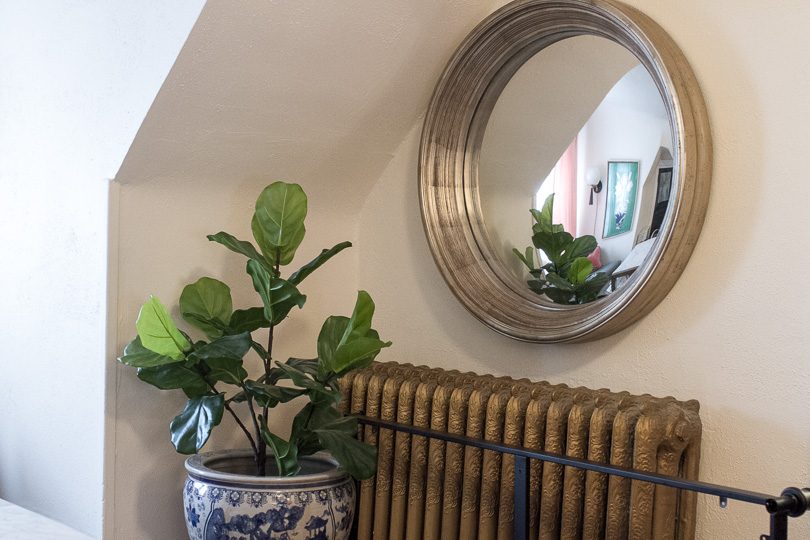 Convex Mirror and Fiddle Leaf Fig in Blue and White Planter