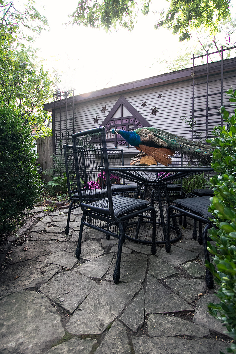 Stori Modern Memoir Dining Collection. Plus a Peacock.