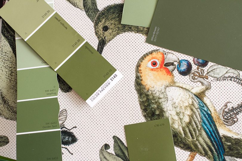 Milton & King Wallpaper, Green Paint Swatches