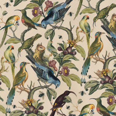 Ornithology Wallpaper, Milton & King