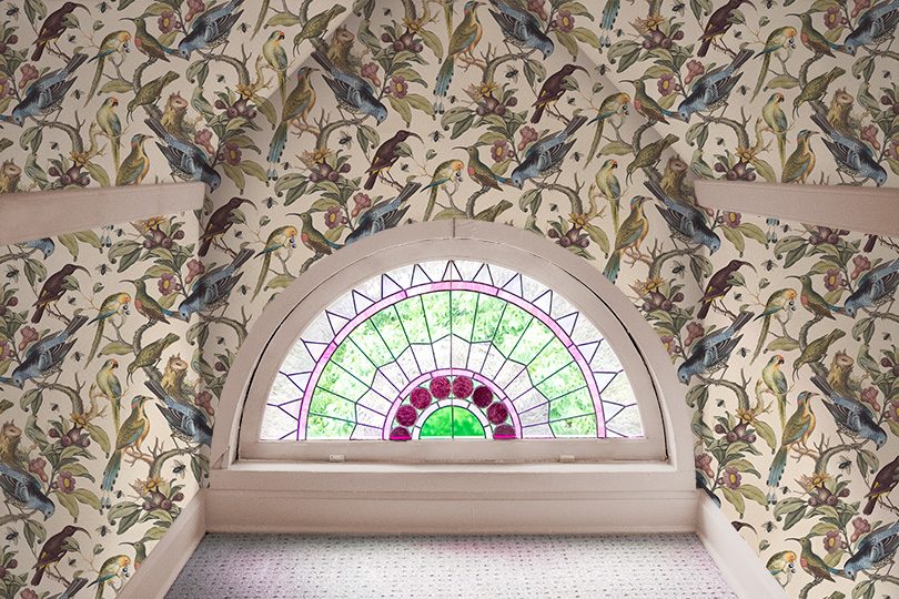 Rainbow Room, Milton & King Ornithology Wallpaper, Stained Glass Window, Pink Painted Trim