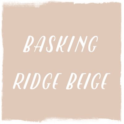 Paint Color: Basking Ridge Beige, Benjamin Moore