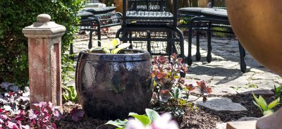 The Newly Planted Backyard Garden | Making it Lovely